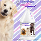 Blissfully Fresh™ Dog Ear Cleaner