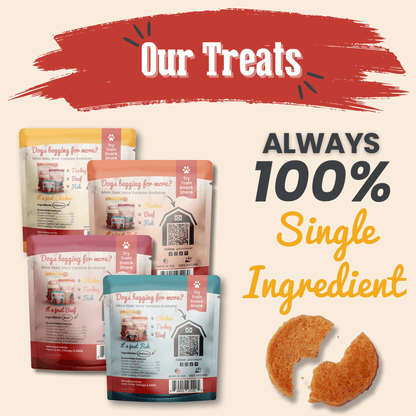 Snack Pack Dog Treat Sampler