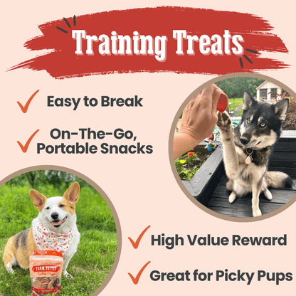 Turkey Chips for Dogs | All-Natural Single-Ingredient Healthy Dog Treats