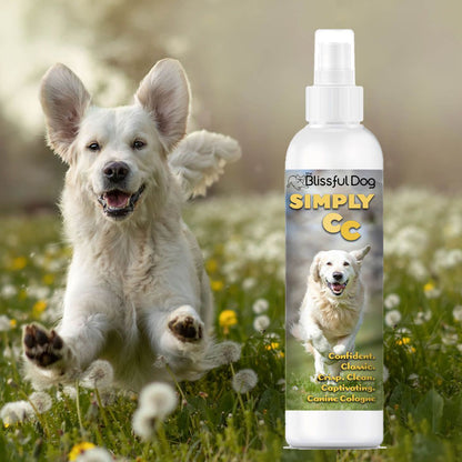 Simply CC Dog Cologne for the Classically Confident Canine