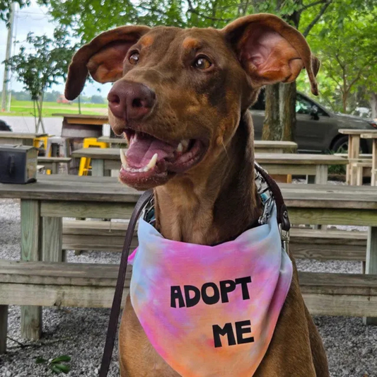 Adopt Me Tie Dye Dog Bandana Best Seller